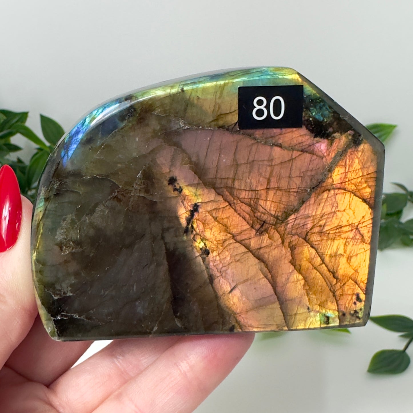 High Quality Labradorite Freeform #80