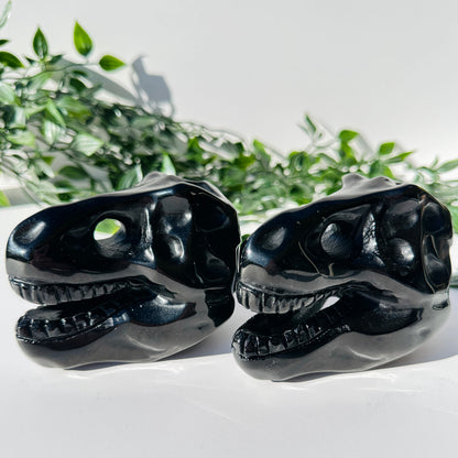 Obsidian T-Rex Skull