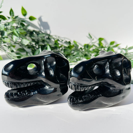 Obsidian T-Rex Skull
