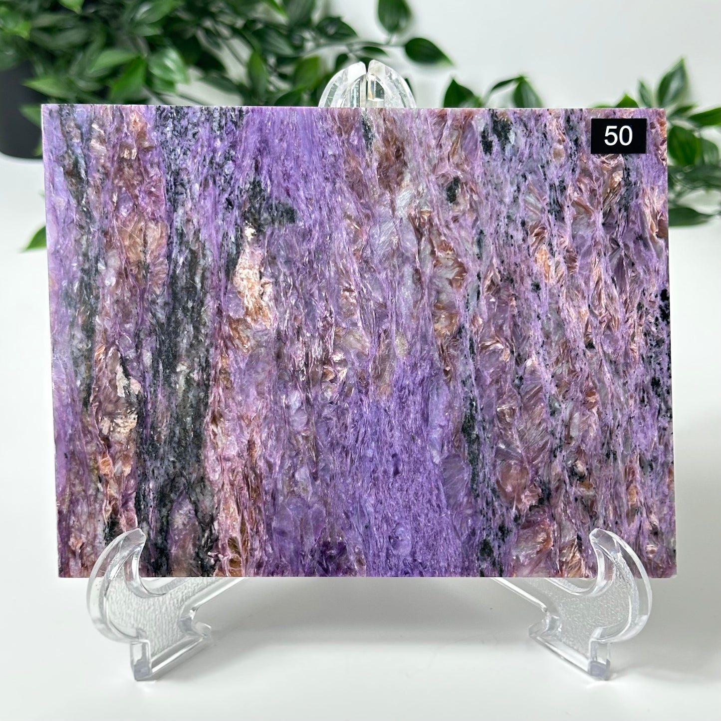Charoite Slab with Stand #50