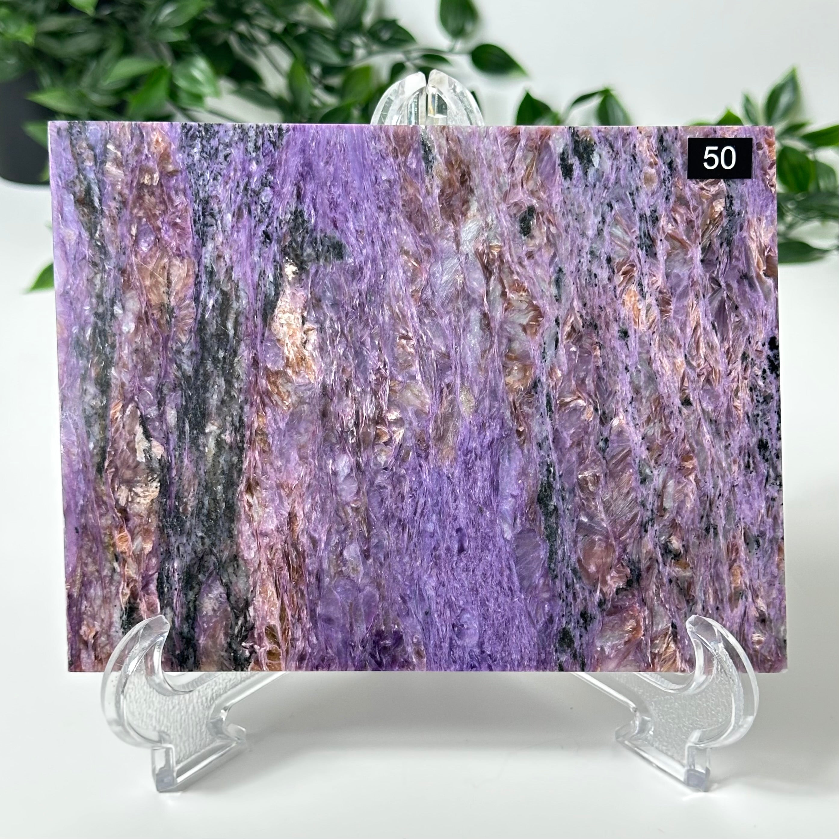 Charoite Slab with Stand #50