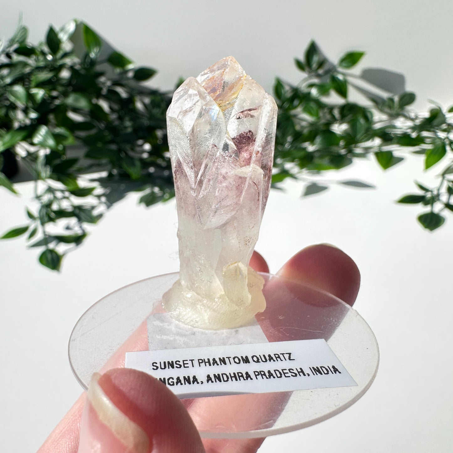 Sunset Phantom Quartz Point #15