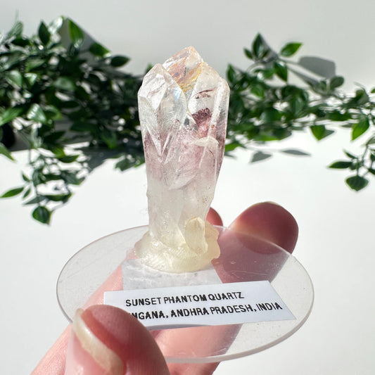 Sunset Phantom Quartz Point #15