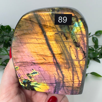 High Quality Labradorite Freeform #89