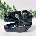 Obsidian T-Rex Skull