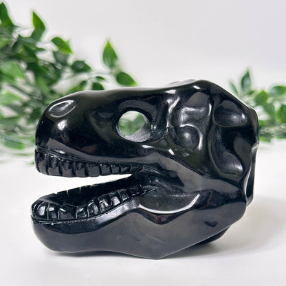 Obsidian T-Rex Skull