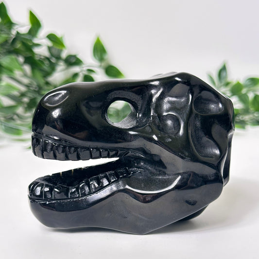 Obsidian T-Rex Skull