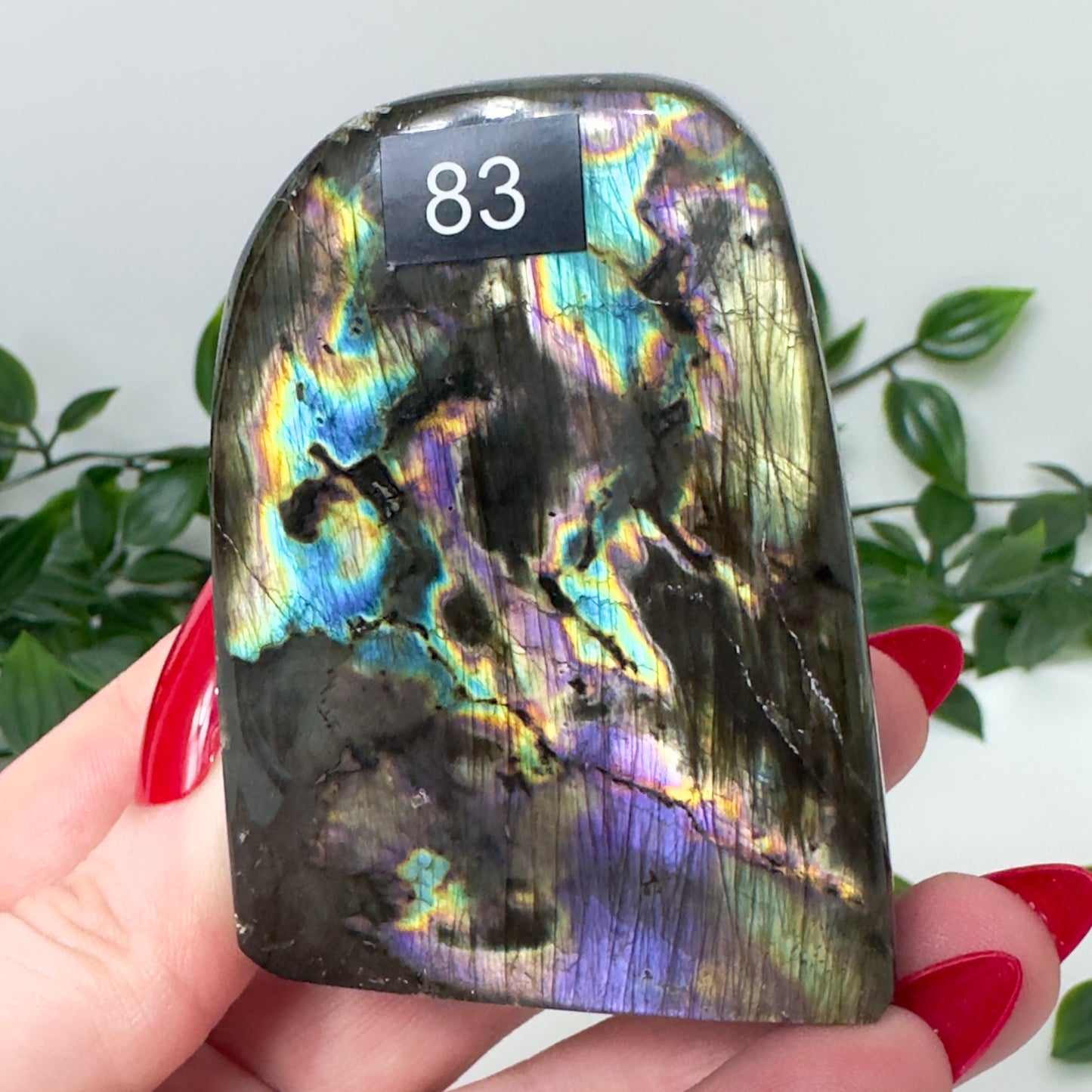 High Quality Labradorite Freeform #83