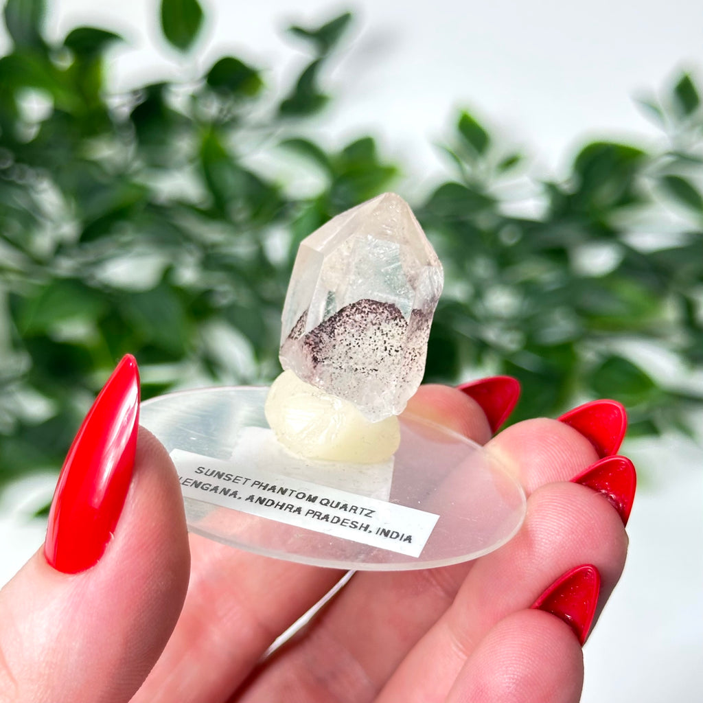 Sunset Phantom Quartz crystal point held by hand