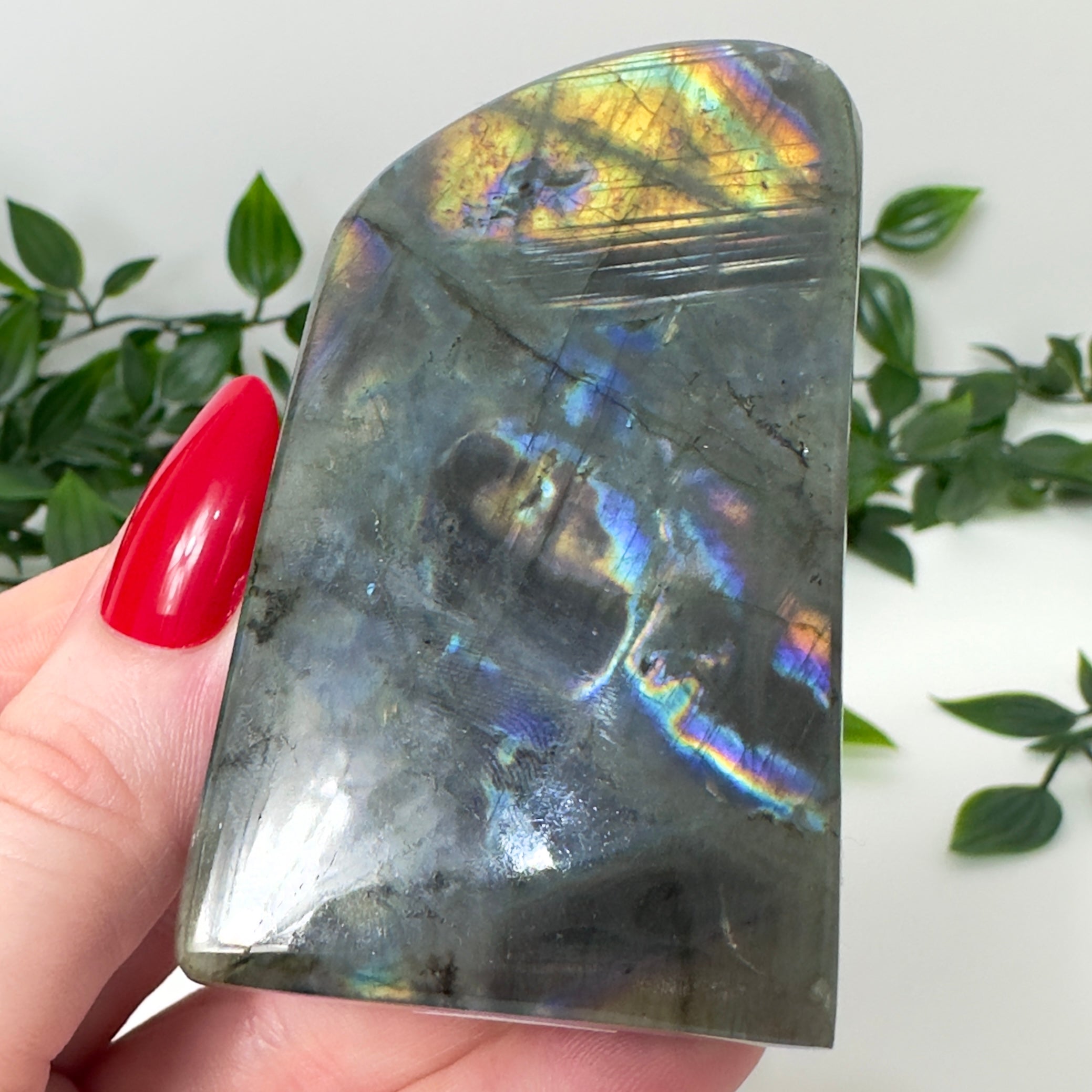 High Quality Labradorite Freeform #84