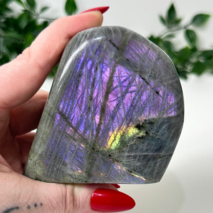 Purple Labradorite Freeform