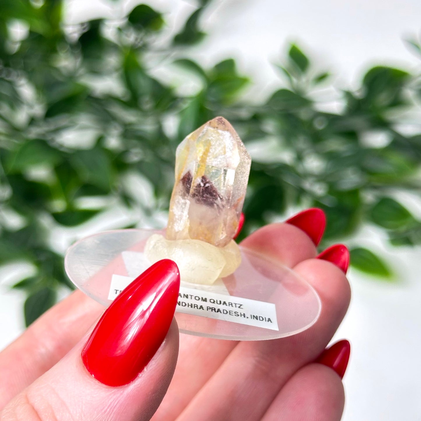 Sunset Phantom Quartz Point #20