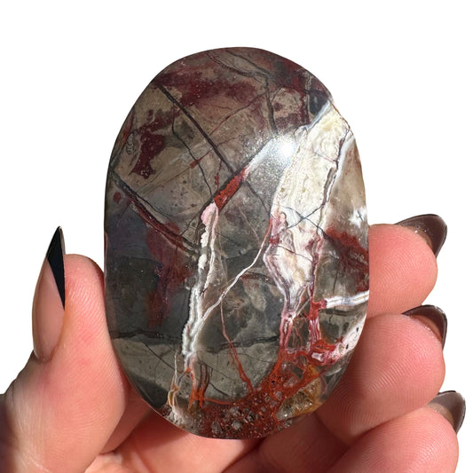 Mexican Agate Palm Stone B