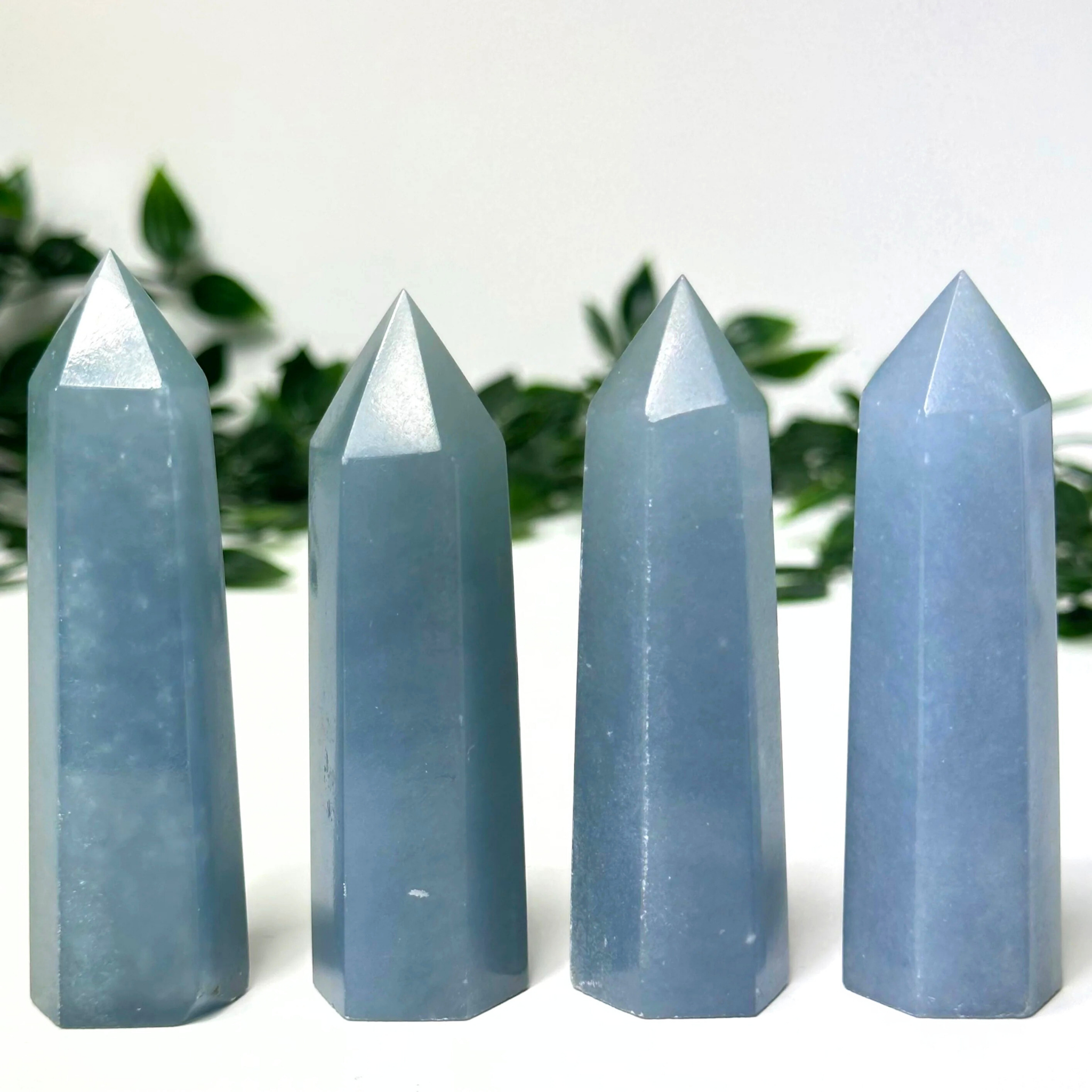 4 angelite crystal towers in front of a white and leafy background