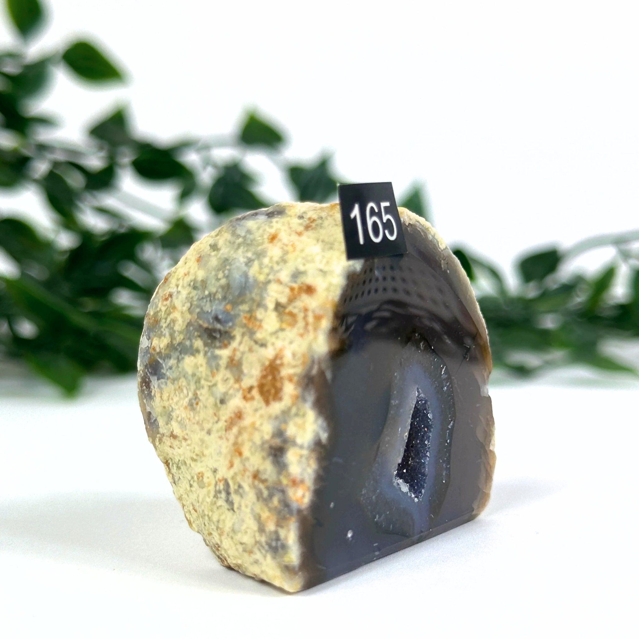 Small agate geode with a dark interior on a white background with greenery