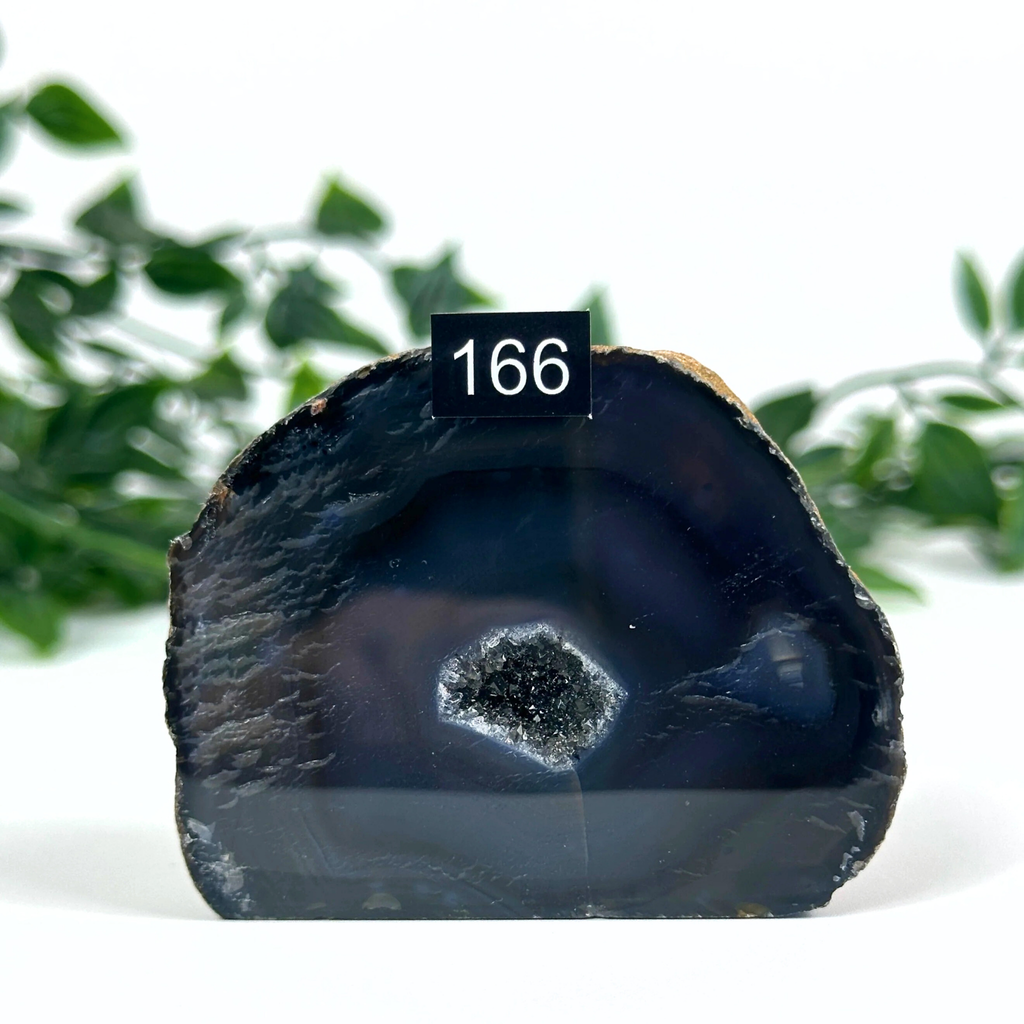 Agate geode with a dark interior set against a blurred green foliage background.