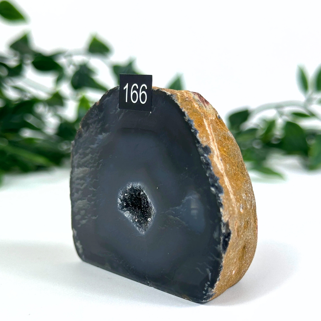 Agate geode with a black interior and brown exterior on a white background with green foliage.