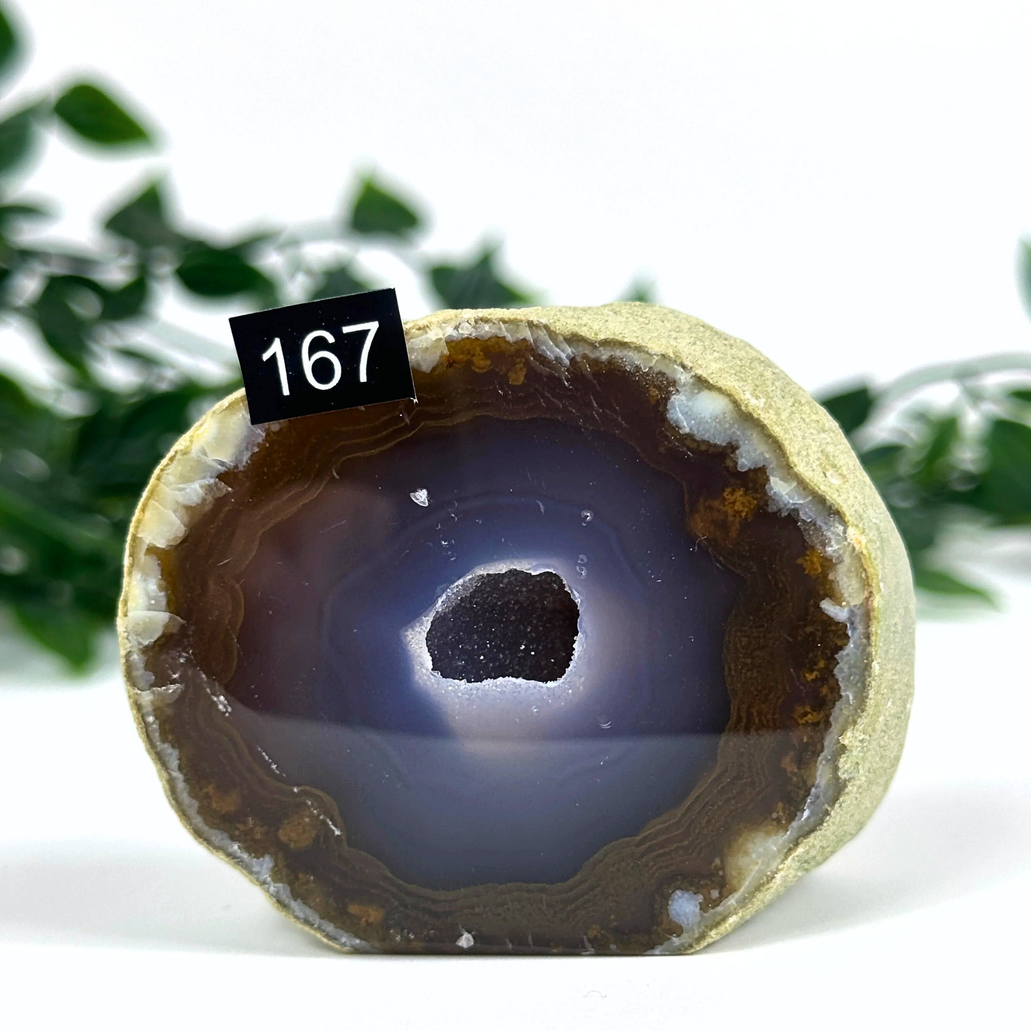 Half-cut agate geode with a dark interior on a white background with blurred green leaves.