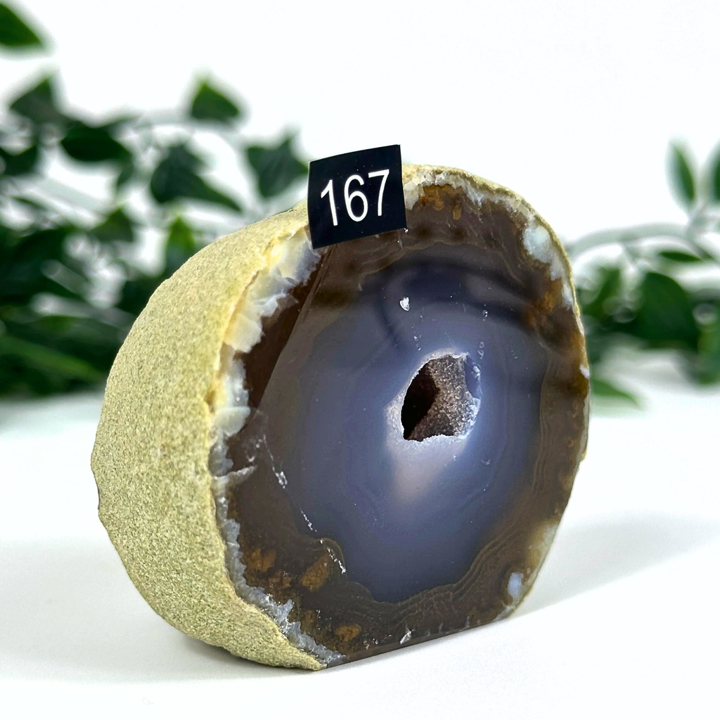 Agate geode with a grey and brown interior on a white background with green leaves in the background