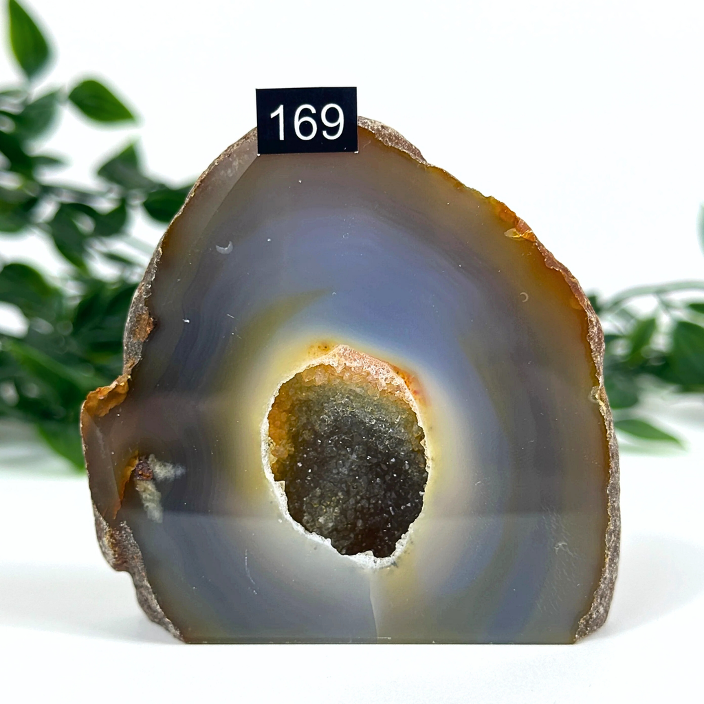 Agate geode with concentric colors on a white background