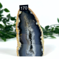 Agate geode with a black and white interior on a white background with green leaves in the background