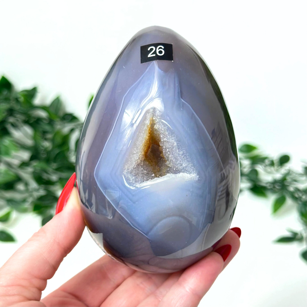 Hand holding a large agate crystal egg with a blurred green plant background