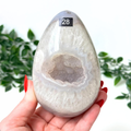 Hand holding a druzy agate crystal egg with a natural pattern, against a blurred green leafy background.