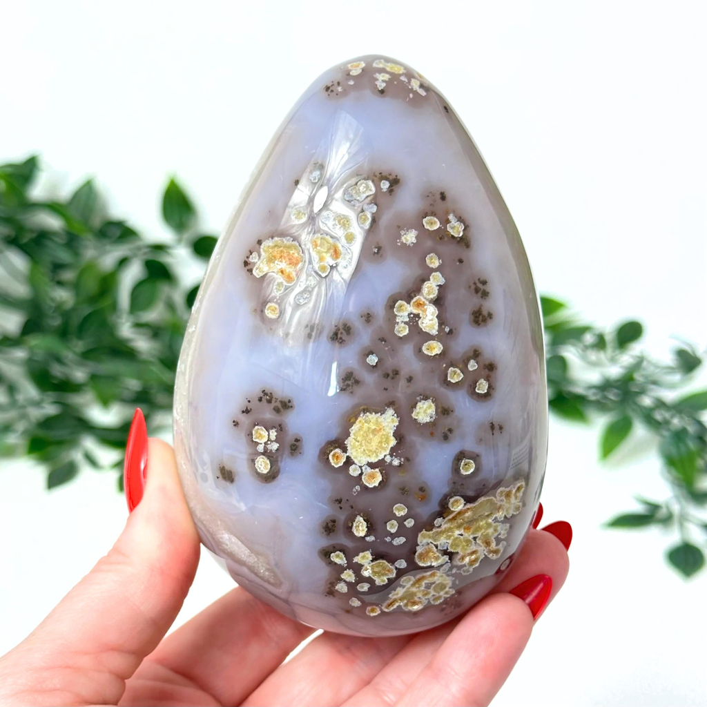 Hand holding a druzy agate crystal egg with dendrite patterns against a blurred green plant background