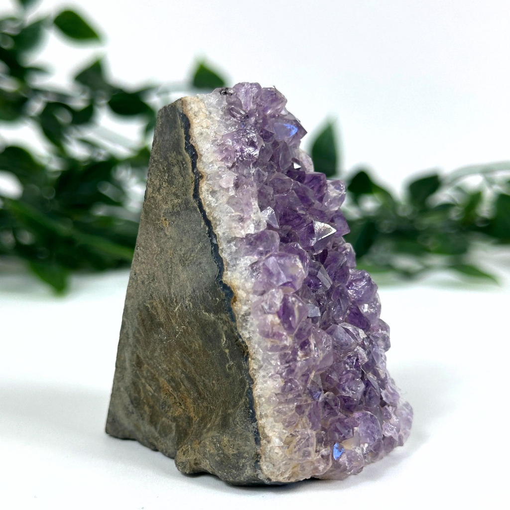 Amethyst crystal cluster on a stone base with green foliage in the background