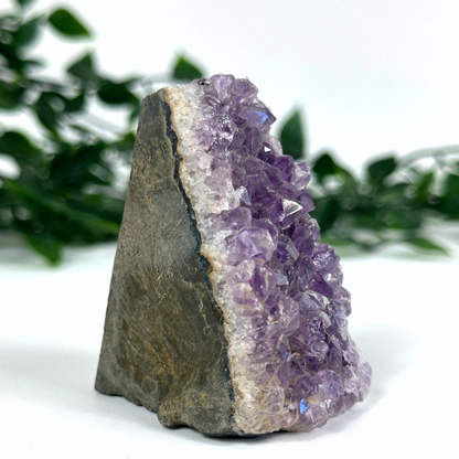 Amethyst crystal cluster on a stone base with green foliage in the background