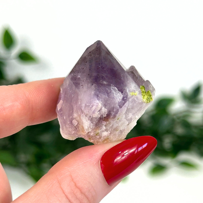 Hand holding an amethyst crystal with a blurred green plant background