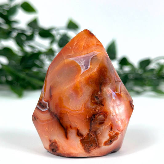 Carnelian crystal flame with a blurred green leafy background