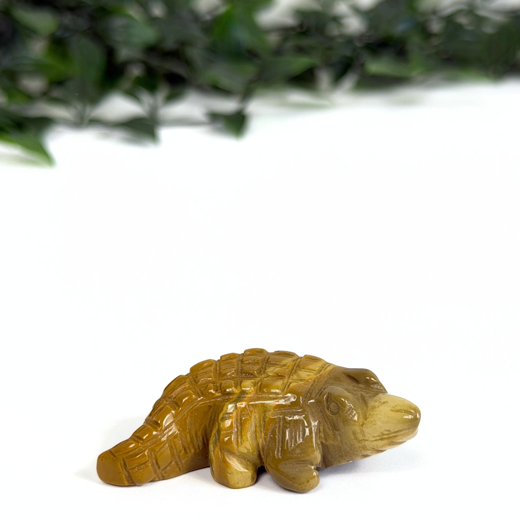 Mookaite crocodile carving on a white background with greenery in the background