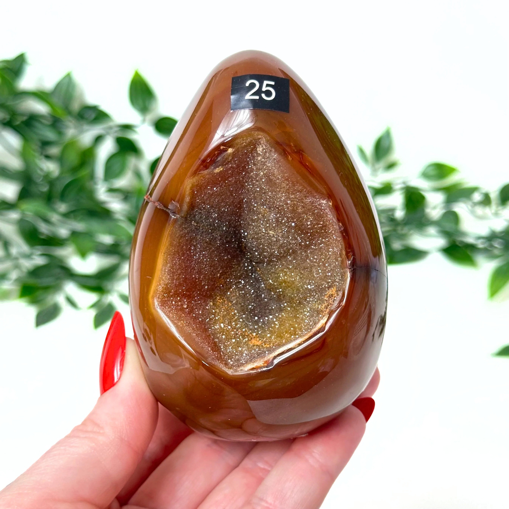 Hand holding a large brown agate stone with a blurred green leafy background