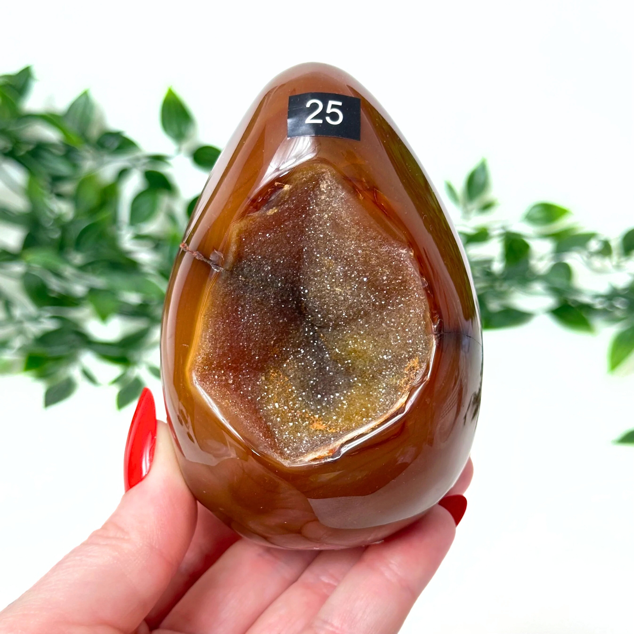 Hand holding a large brown agate stone with a blurred green leafy background
