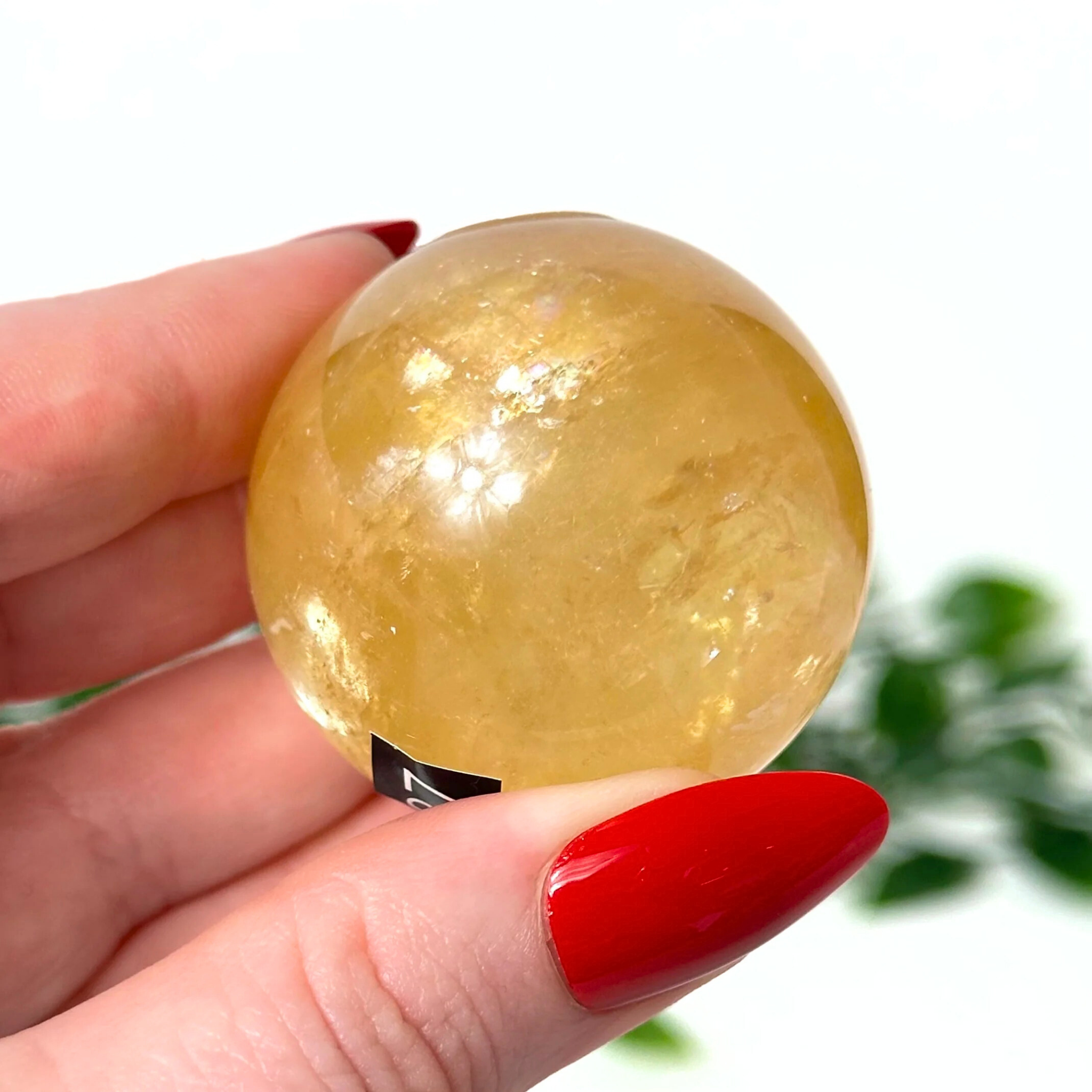 Hand holding a honey calcite crystal ball with a blurred green plant background