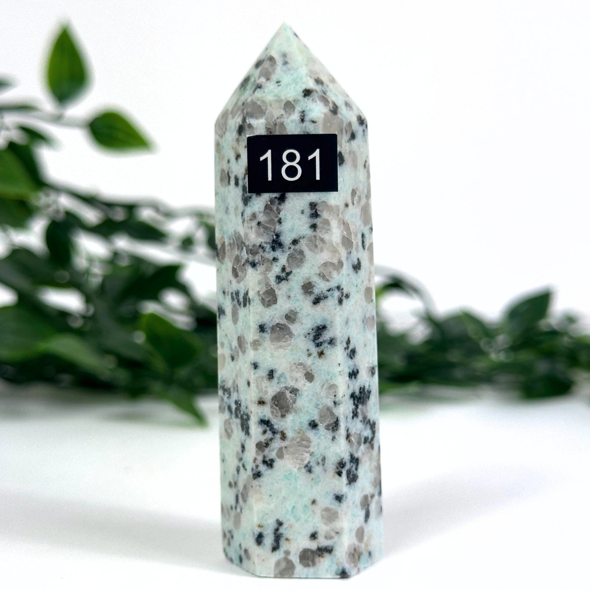 Kiwi jasper crystal tower with a black label on a white background