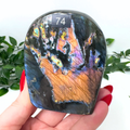 Labradorite crystal held in a hand with a white background