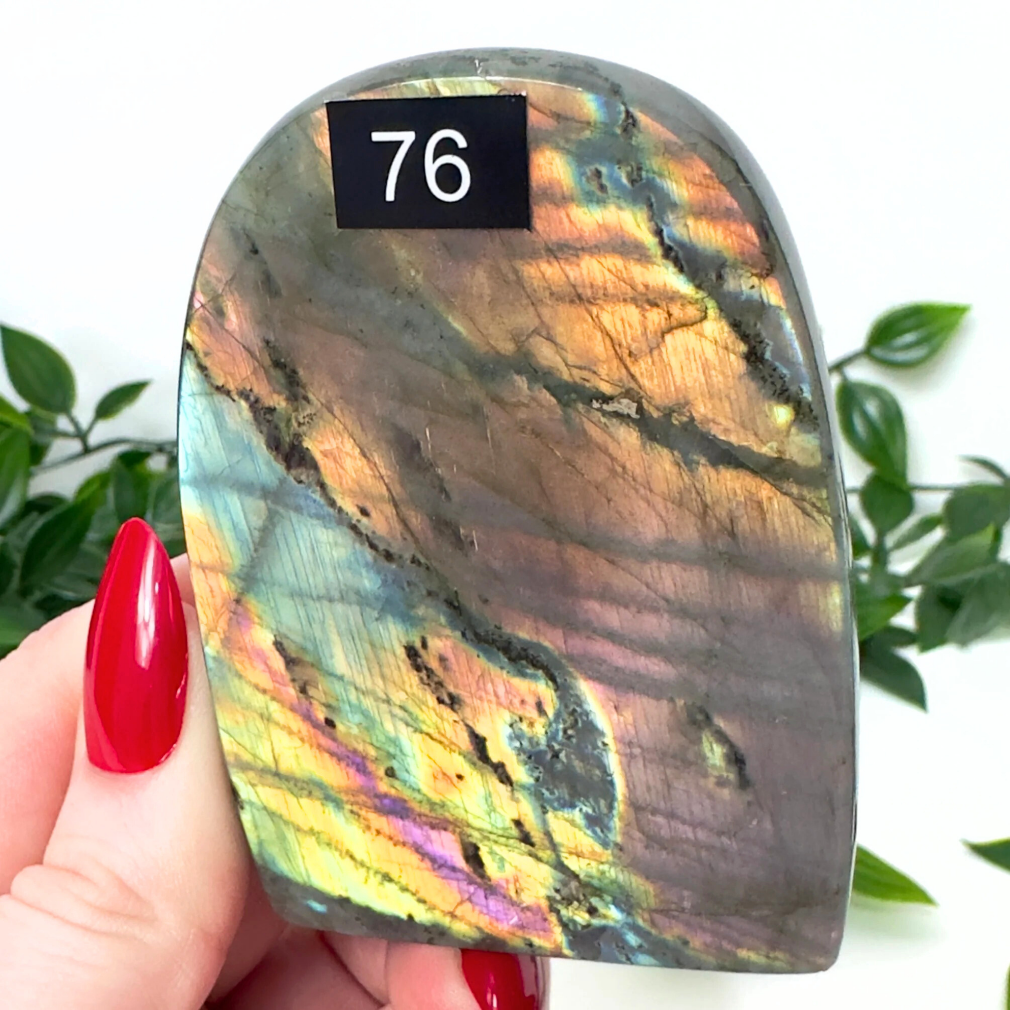 High Quality Labradorite Freeform #76