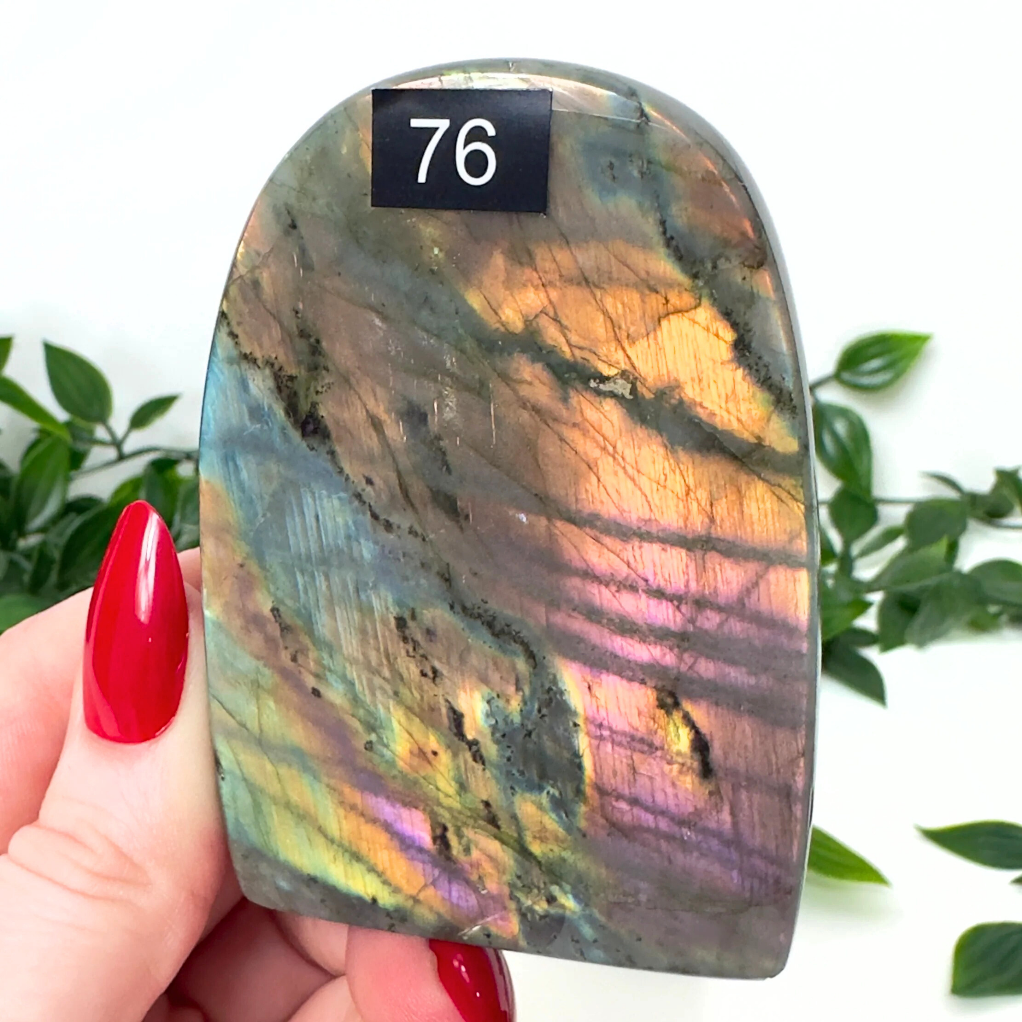 High Quality Labradorite Freeform #76