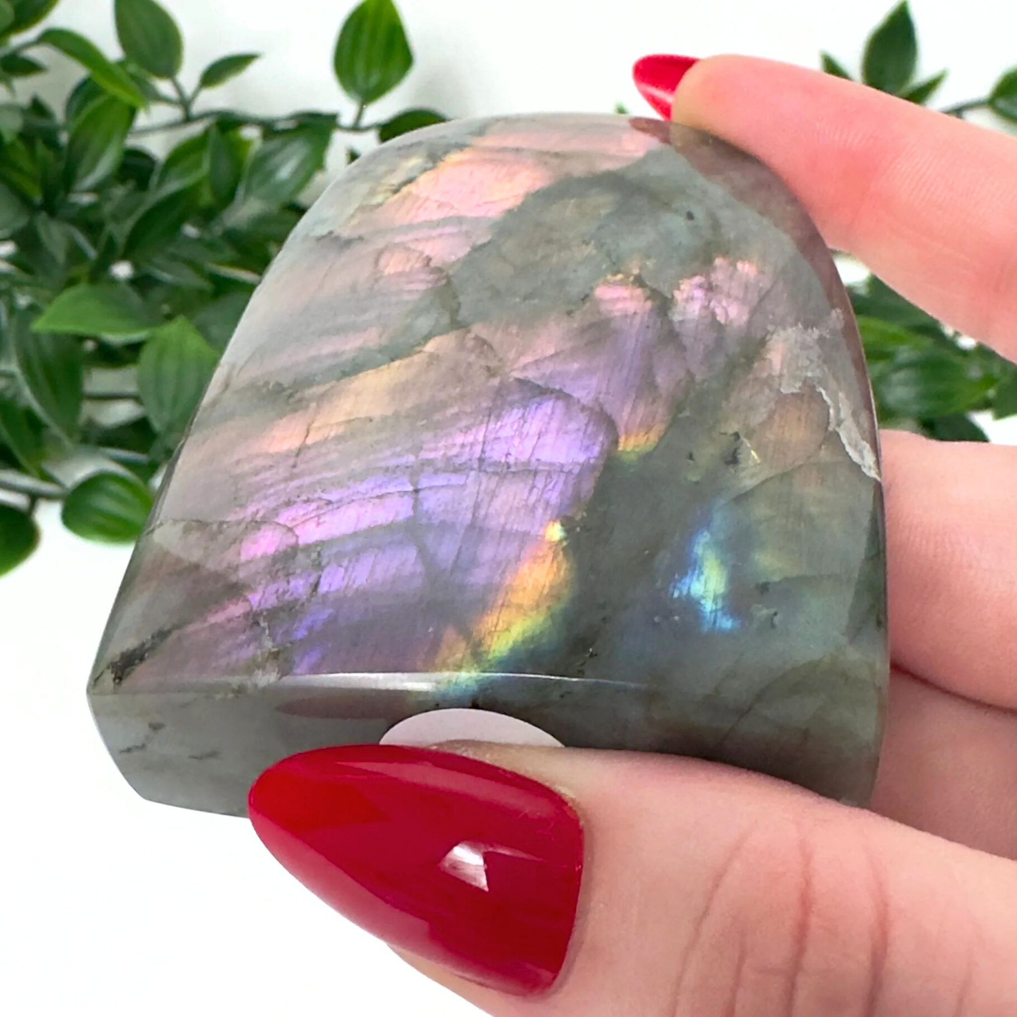 High Quality Labradorite Freeform #76