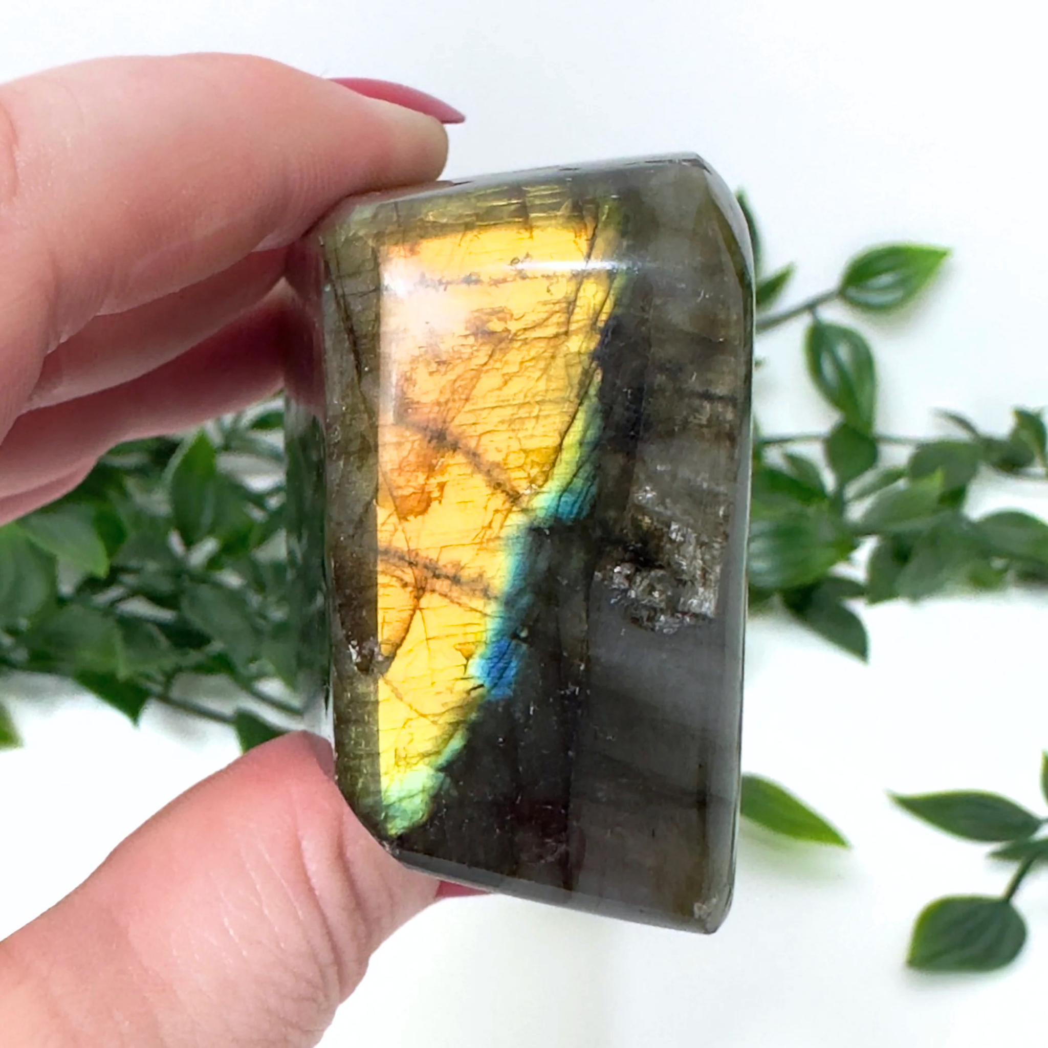 High Quality Labradorite Freeform #78