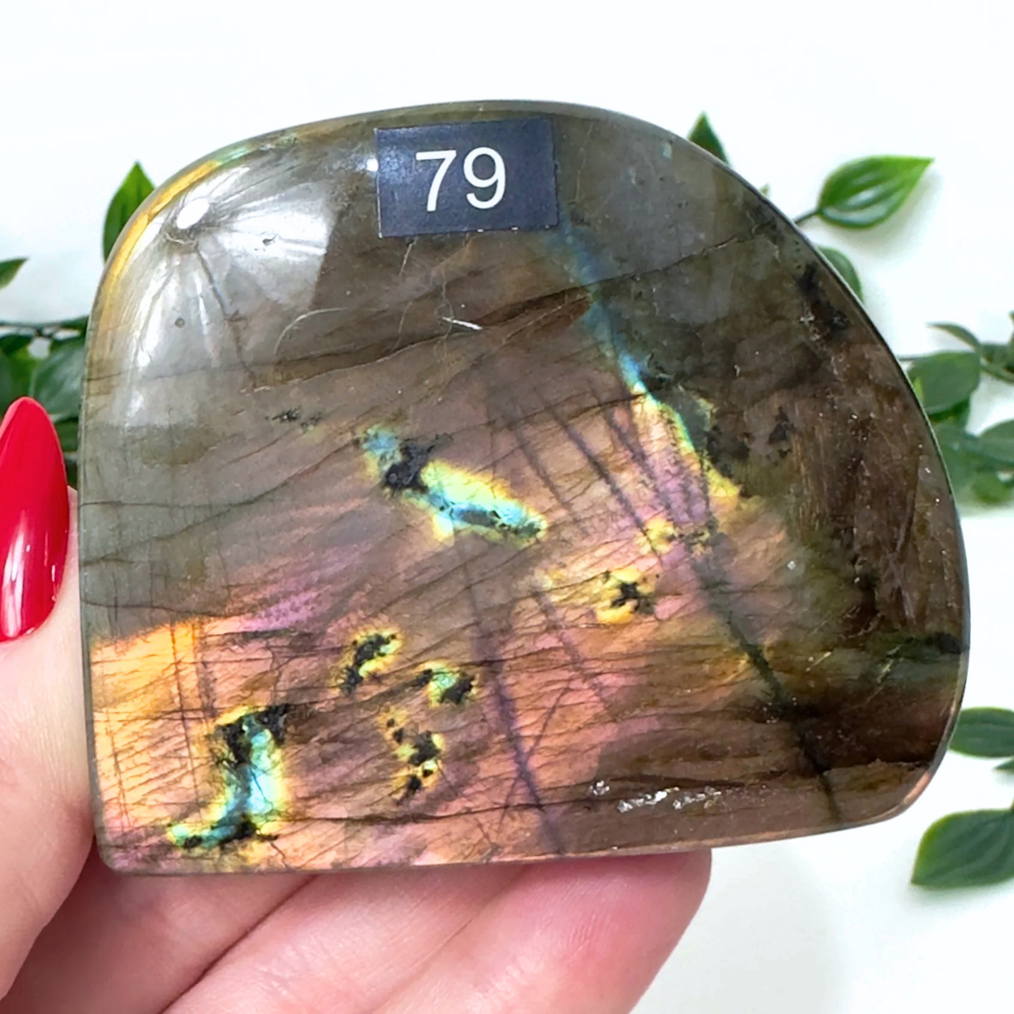 High Quality Labradorite Freeform #79