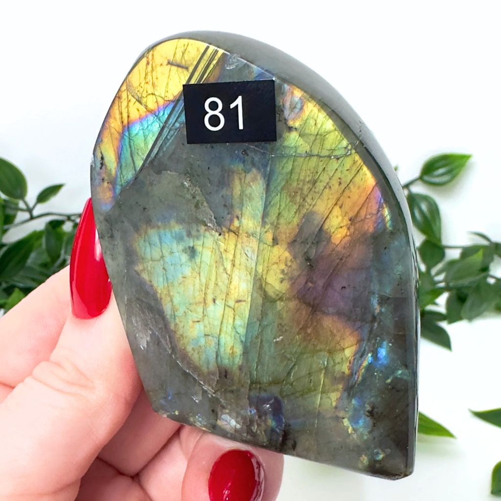 High Quality Labradorite Freeform #81