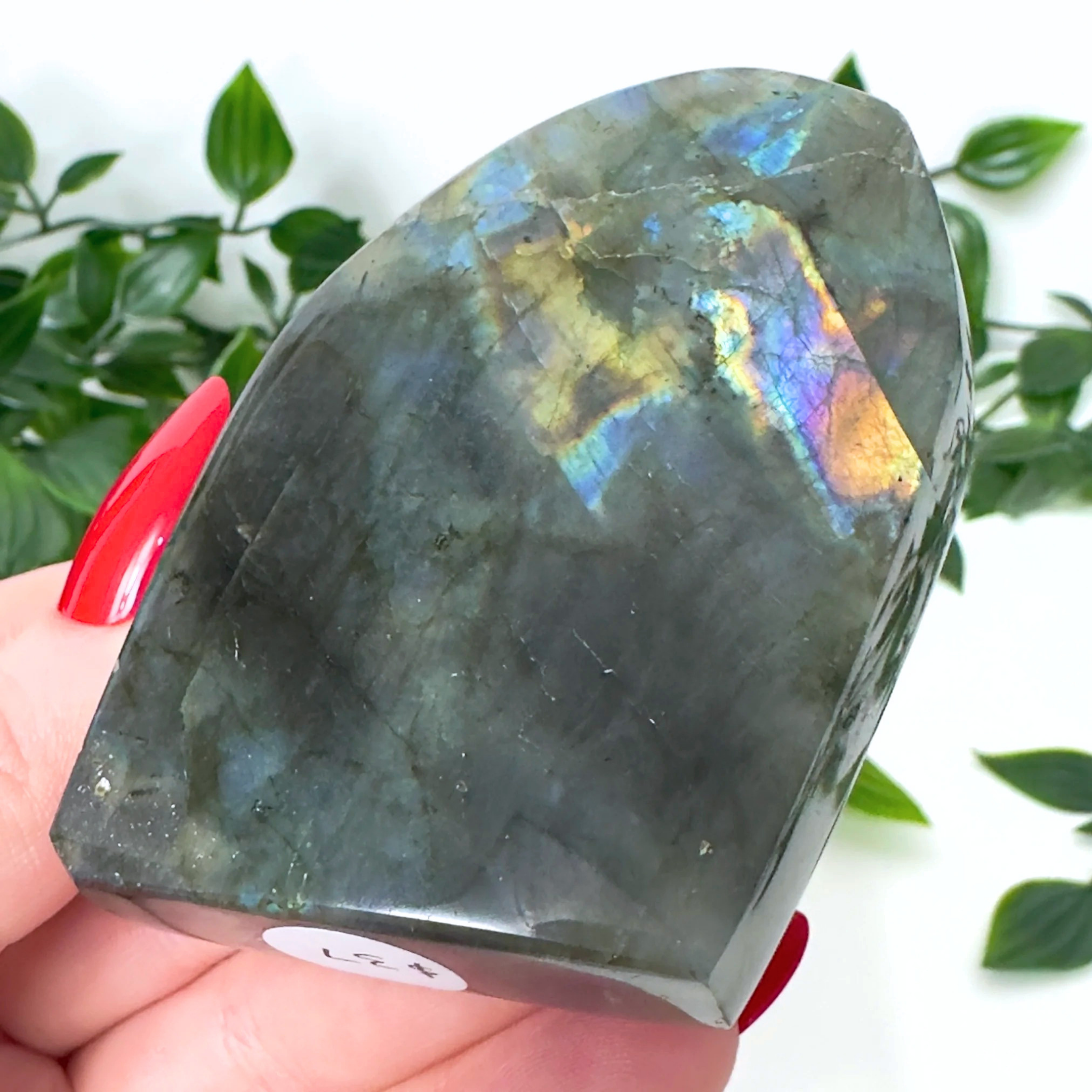 High Quality Labradorite Freeform #81