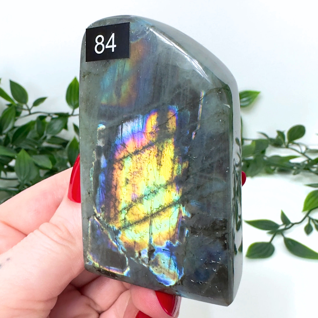 High Quality Labradorite Freeform #84