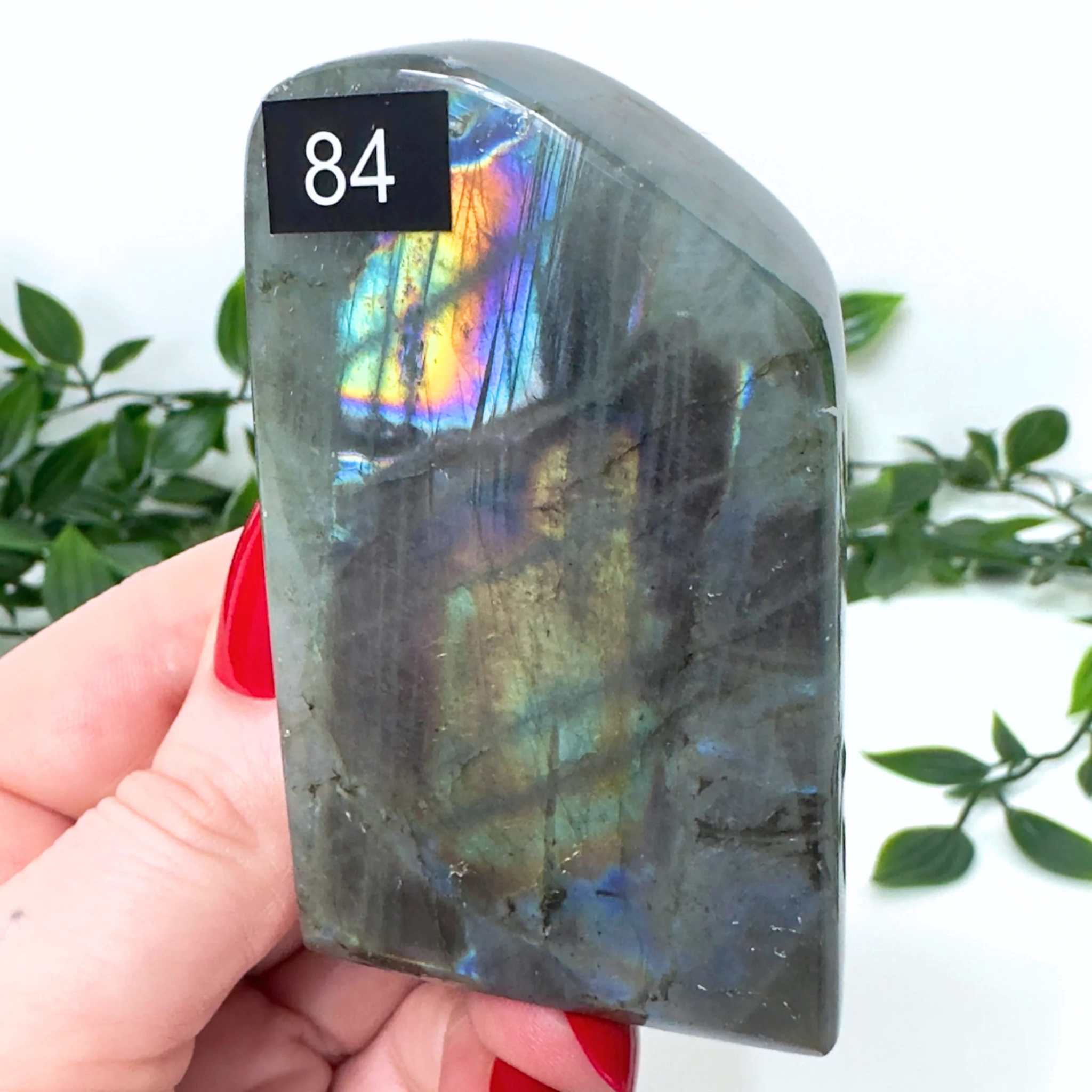 High Quality Labradorite Freeform #84