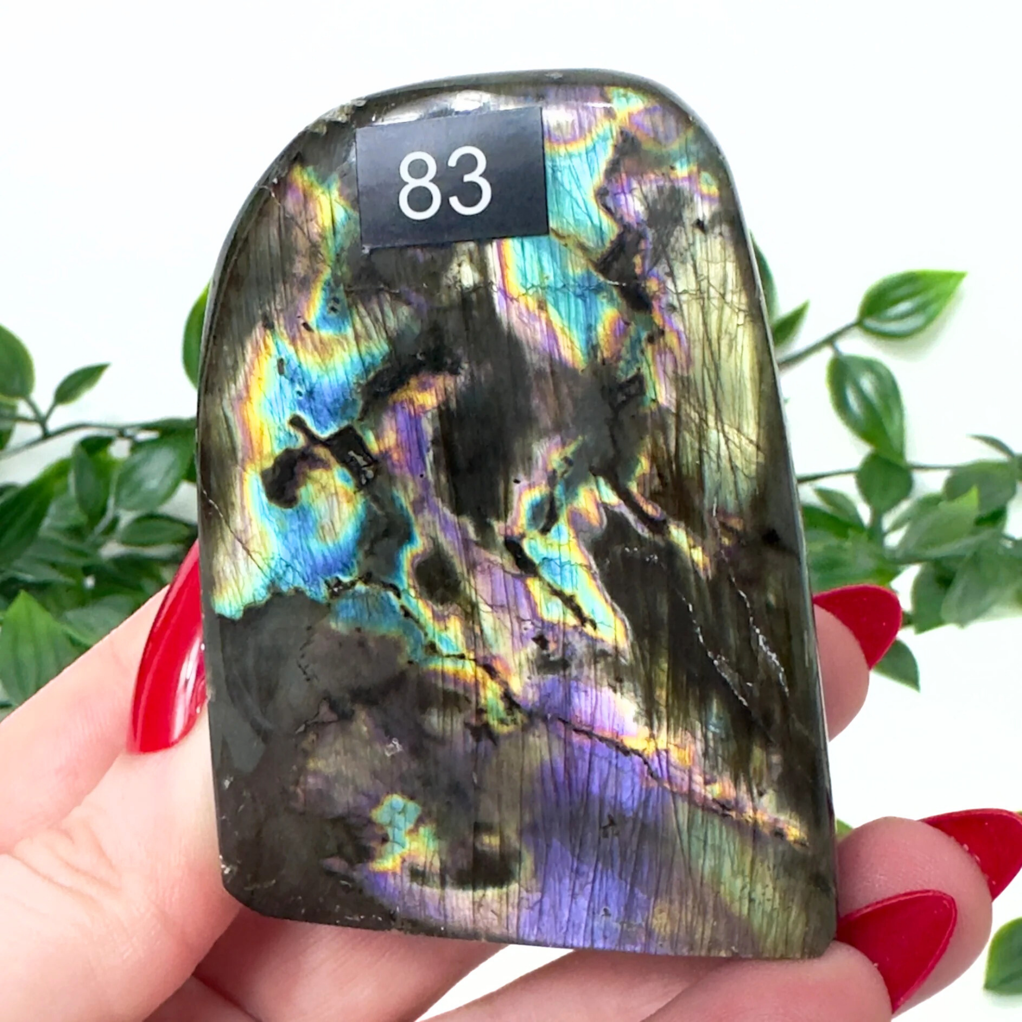 Multicolored labradorite stone held by a hand against a green leafy background