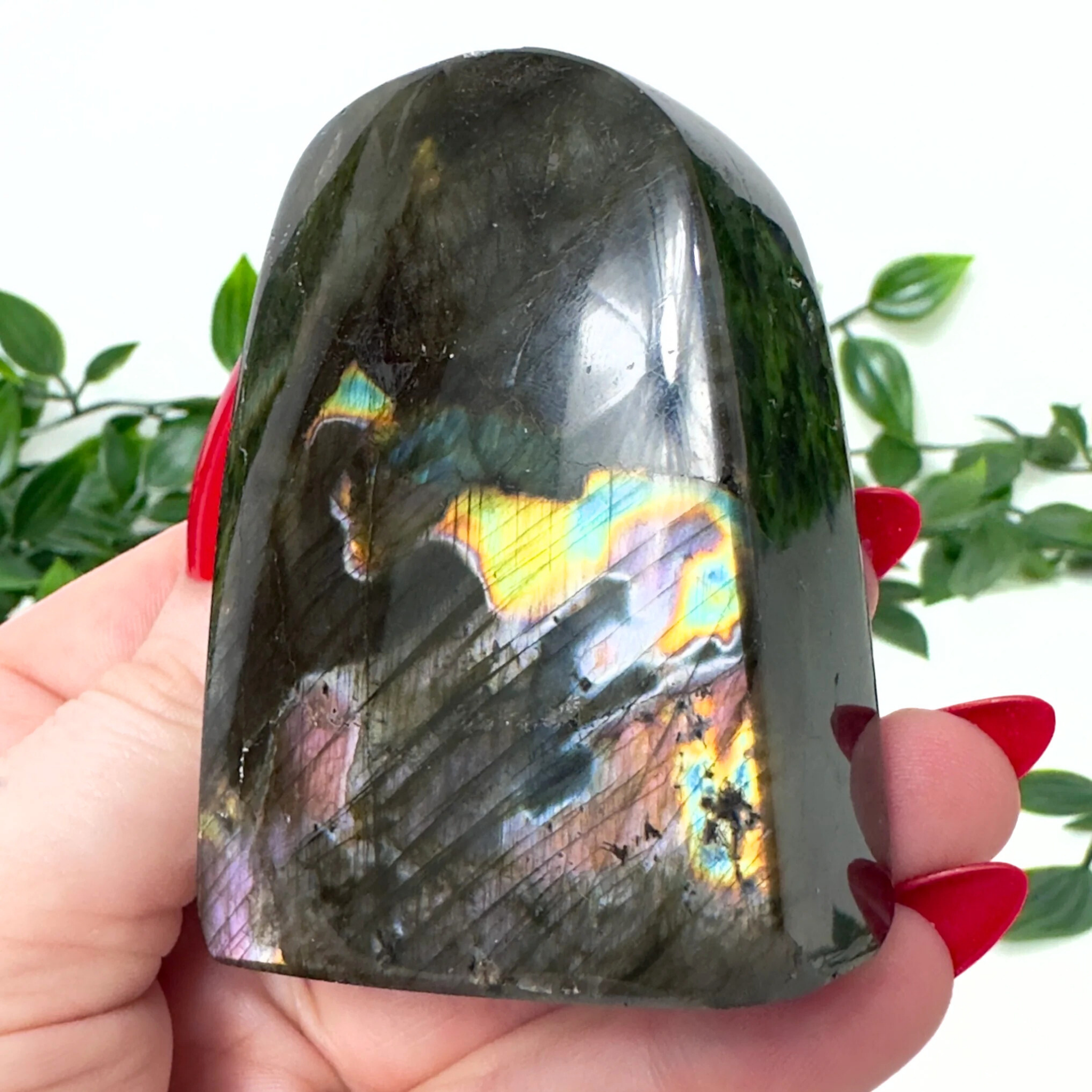 Person holding a labradorite crystal with colorful internal patterns against a green leafy background
