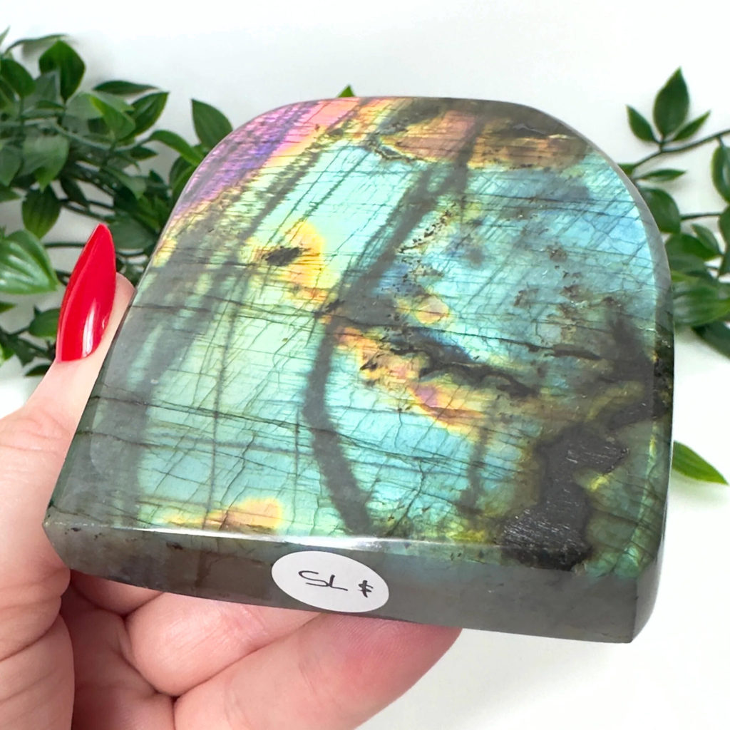 Person holding a colorful labradorite stone with a blurred green plant background